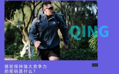 骆驼破圈密码：专业与科技